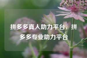拼多多真人助力平台，拼多多专业助力平台