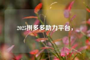 2025拼多多助力平台,