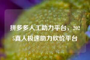 拼多多人工助力平台，2025真人极速助力砍价平台
