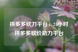 拼多多砍刀平台,24小时拼多多砍价助力平台
