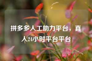 拼多多人工助力平台,真人24小时平台平台