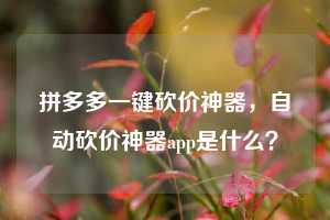 拼多多一键砍价神器,自动砍价神器app是什么?