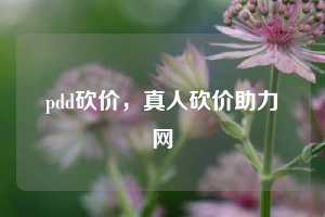 pdd砍价,真人砍价助力网