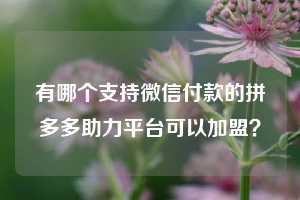 有哪个支持微信付款的拼多多助力平台可以加盟？