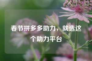 春节拼多多助力，就选这个助力平台