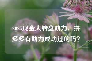 2025现金大转盘助力,拼多多有助力成功过的吗?