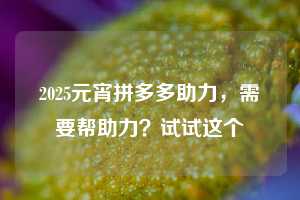 2025元宵拼多多助力，需要帮助力？试试这个