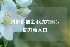 拼多多推金币助力2025，助力新入口