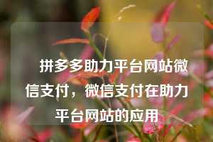 ✅拼多多助力平台网站微信支付，微信支付在助力平台网站的应用