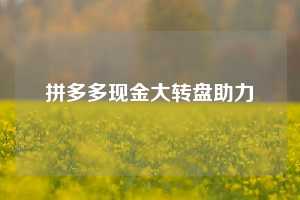 拼多多现金大转盘助力