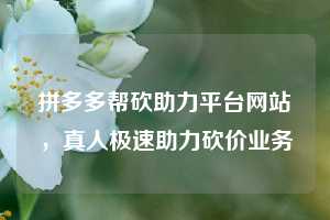 拼多多帮砍助力平台网站，真人极速助力砍价业务