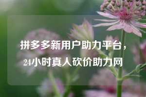 拼多多新用户助力平台，24小时真人砍价助力网