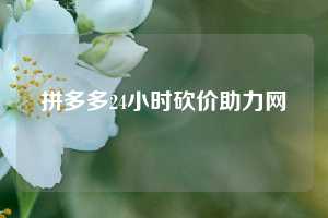 拼多多24小时砍价助力网