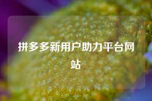 拼多多新用户助力平台网站