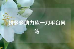 拼多多助力砍一刀平台网站