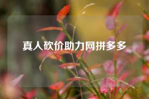 真人砍价助力网拼多多