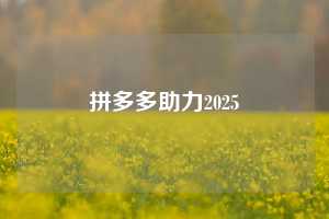 拼多多助力2025