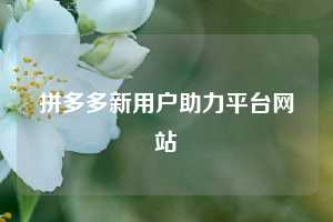拼多多新用户助力平台网站