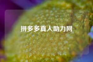 拼多多真人助力网