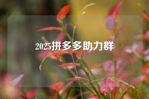 2025拼多多助力群
