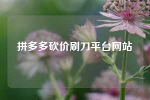 拼多多砍价刷刀平台网站