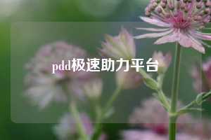 pdd极速助力平台