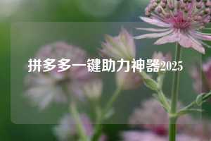 拼多多一键助力神器2025