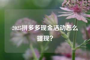 2025拼多多现金活动怎么提现？