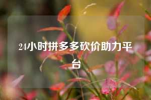 24小时拼多多砍价助力平台