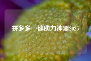 拼多多一键助力神器2025