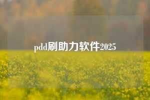 pdd刷助力软件2025