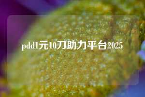 pdd1元10刀助力平台2025