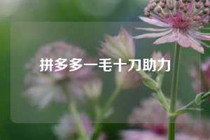 拼多多一毛十刀助力