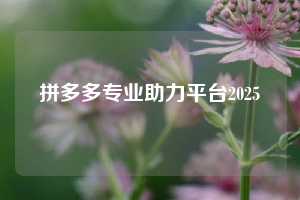 拼多多专业助力平台2025