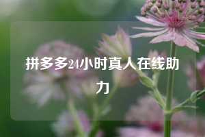 拼多多24小时真人在线助力