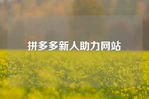 拼多多新人助力网站
