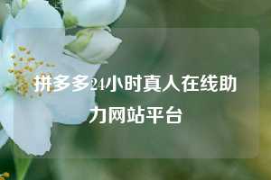 拼多多24小时真人在线助力网站平台