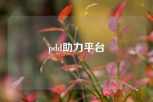 pdd助力平台