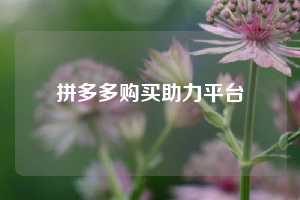 拼多多购买助力平台