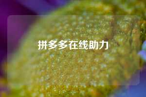 拼多多在线助力