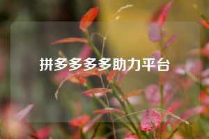 拼多多多多助力平台