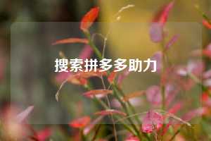 搜索拼多多助力