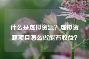 什么是虚拟资源?虚拟资源项目怎么做能有收益?