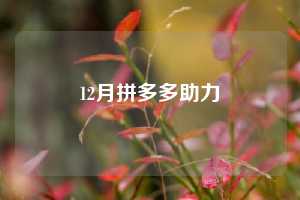 12月拼多多助力