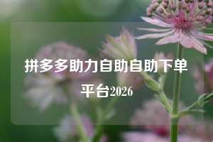 拼多多助力自助自助下单平台2026