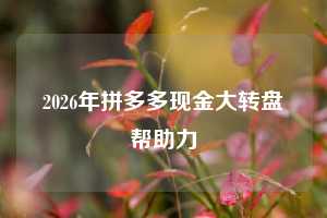 2026年拼多多现金大转盘帮助力