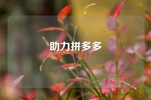 助力拼多多