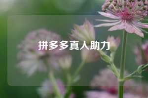 拼多多真人助力