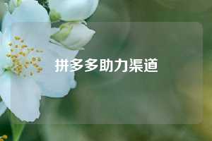 拼多多助力渠道