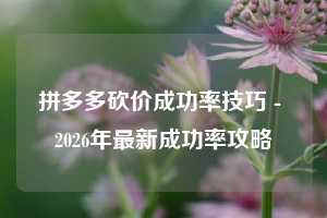 拼多多砍价成功率技巧 - 2026年最新成功率攻略